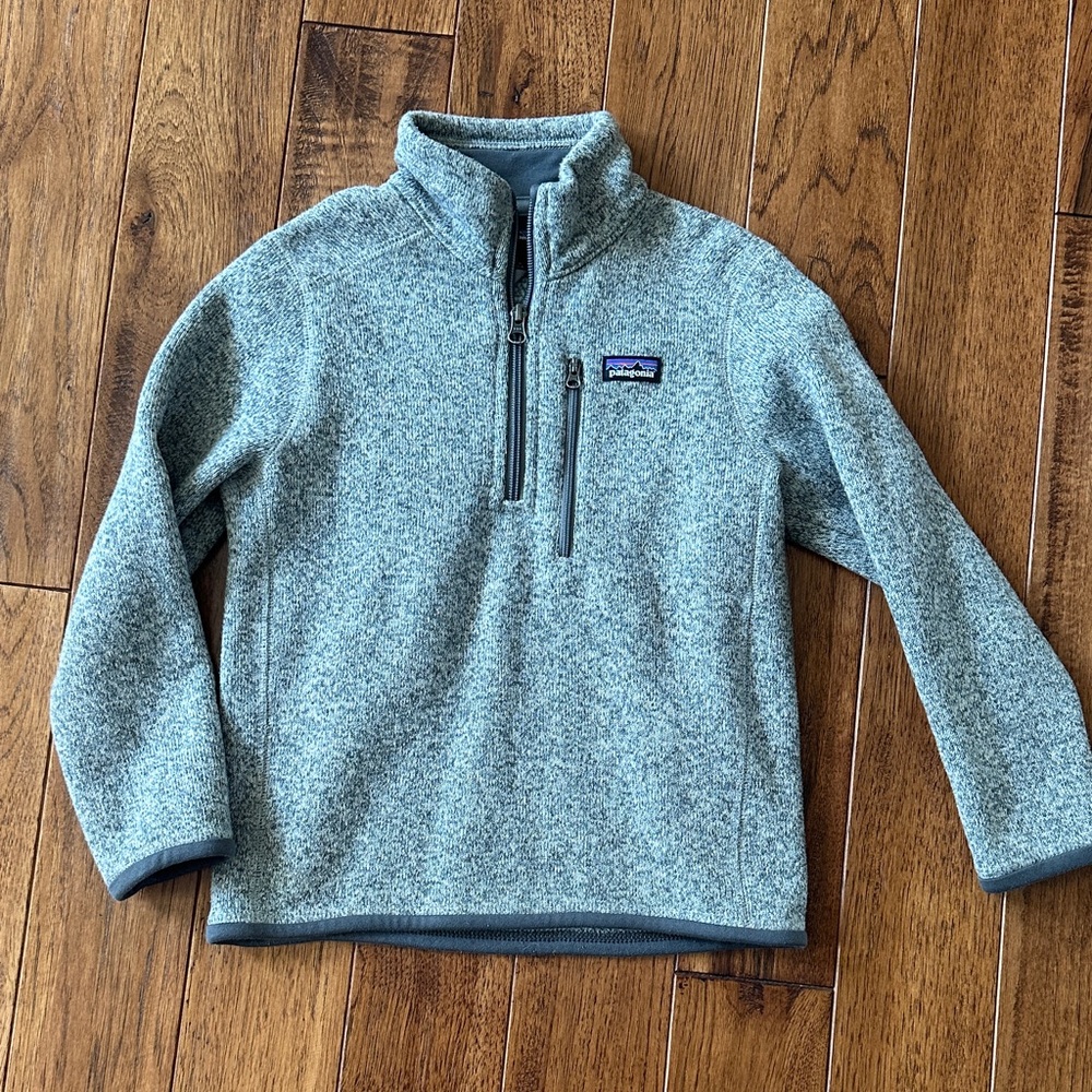 Patagonia Kids Light Gray Fleece Pullover
